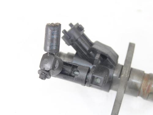 Injector LAND ROVER DISCOVERY IV (L319) 3.0 SDV6 4x4 | BP17018587M100 