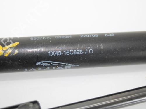 Gasfjeder motorhjelm JAGUAR X-TYPE I (X400) 2.0 D | BP14175004C139 