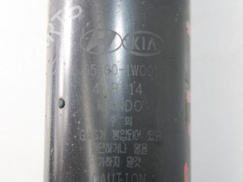 Right rear shock absorber KIA RIO III (UB)  | BP16967183M19 