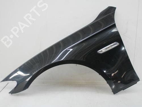 Used Left front fenders BMW 5 (F10) 520 d (184 hp) 30194144
