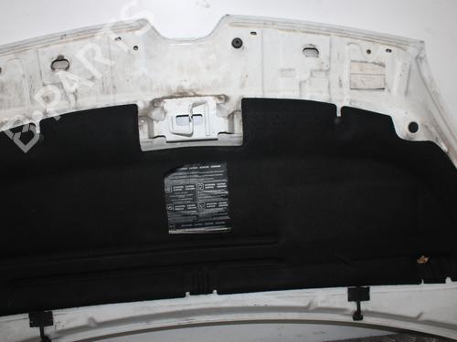 Hood RENAULT KANGOO Express (FW0/1_) 1.5 dCi 75 (FW07, FW10, FW04) | BP24666334C1 