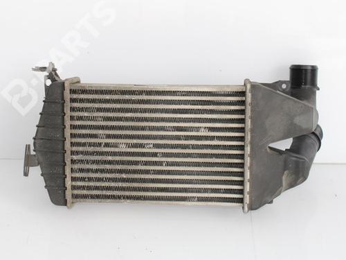Used Intercooler Intercooler OPEL ZAFIRA / ZAFIRA FAMILY B (A05) 1.9 CDTI (M75) (120 hp) 10124941 10124941