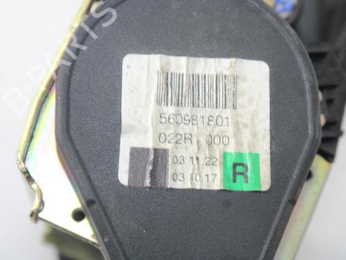 Sikkerhetsbelte bak høyre VW TOUAREG (7LA, 7L6, 7L7) 5.0 V10 TDI | BP30377029I28