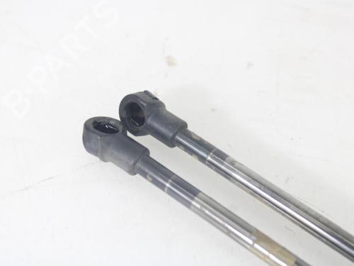 Tailgate lift support NISSAN QASHQAI / QASHQAI +2 I (J10, NJ10, JJ10E) 1.5 dCi | BP14174887C138 