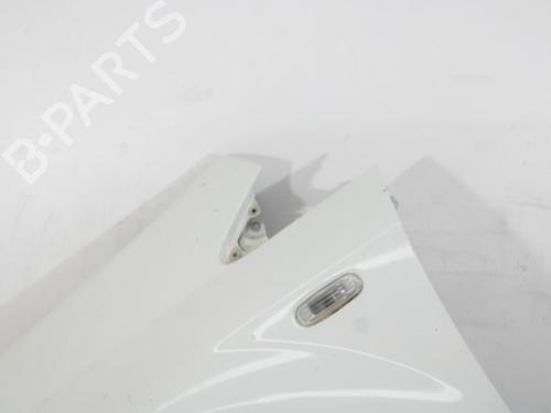 Left front fenders FIAT PUNTO (199_) 1.4 (199AXB1A, 199BXB1A, 199BXB11, 199AXB11) | BP30194142C41