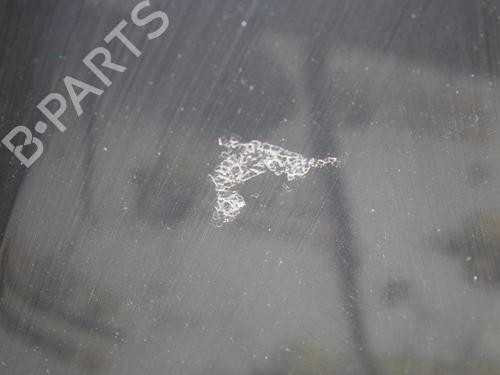 Hood LAND ROVER RANGE ROVER SPORT I (L320) 2.7 D 4x4 | BP10119063C1 