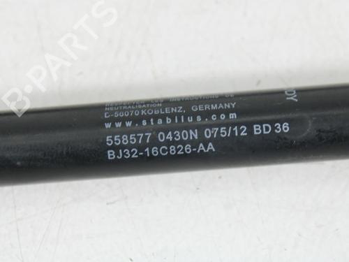 Hood lift support LAND ROVER RANGE ROVER EVOQUE (L538) 2.2 D | BP25742841C139 