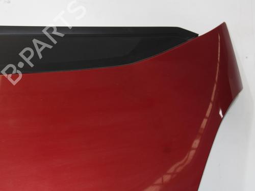 Hood CITROËN C4 Grand Picasso I (UA_) 1.6 HDi 110 | BP25050255C1