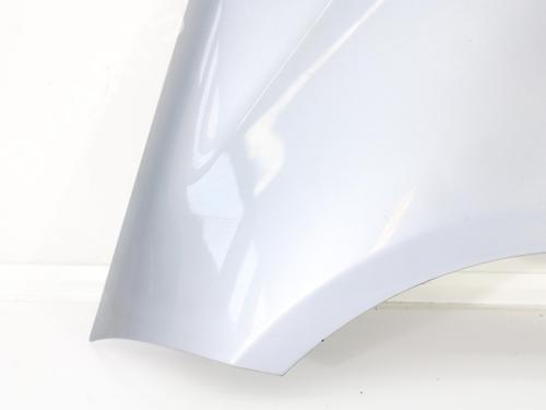 Left front fenders MERCEDES-BENZ A-CLASS (W169) A 180 CDI (169.007, 169.307) | BP15008442C41 
