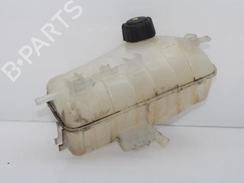 Used Expansion tank RENAULT KANGOO / GRAND KANGOO II (KW0/1_) 1.5 dCi 90 (KW05, KW08, KW0G, KW11) (90 hp) 10124516