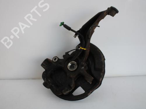 Left front steering knuckle LAND ROVER RANGE ROVER SPORT I (L320) 2.7 D 4x4 | BP10119255M25 
