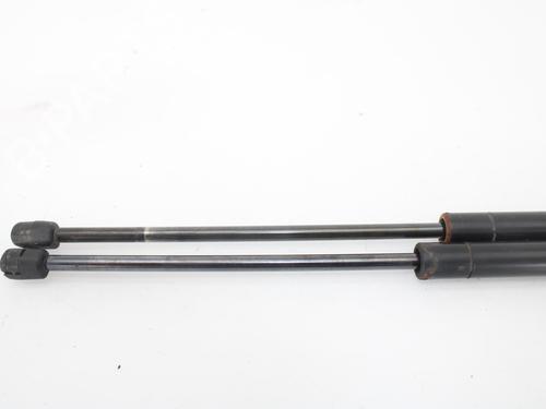 Tailgate lift support LAND ROVER RANGE ROVER SPORT I (L320) 3.0 D 4x4 | BP15054536C138 