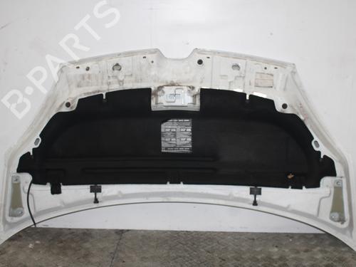 Hood RENAULT KANGOO Express (FW0/1_) 1.5 dCi 75 (FW07, FW10, FW04) | BP24666334C1 