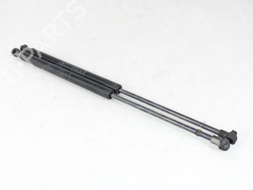 Tailgate lift support FIAT PUNTO (199_) 1.4 (199AXB1A, 199BXB1A, 199BXB11, 199AXB11) | BP29811445C138 