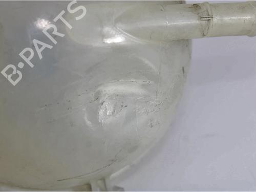 Expansion tank VW POLO V (6R1, 6C1) 1.2 TSI | BP10487980C120 