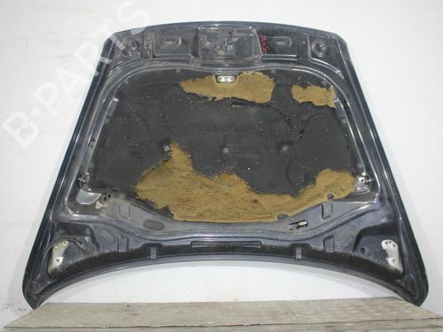 Hood VW TOUAREG (7LA, 7L6, 7L7) 5.0 V10 TDI | BP30154874C1