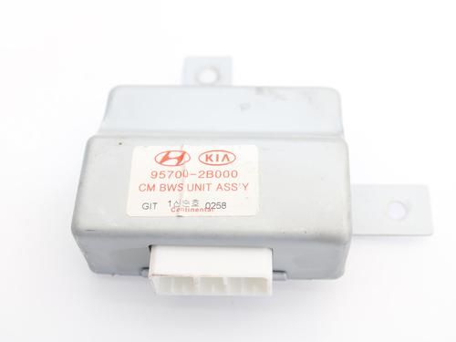 Used Electronic module HYUNDAI SANTA FÉ II (CM) 2.2 CRDi 4x4 (155 hp) 11506946
