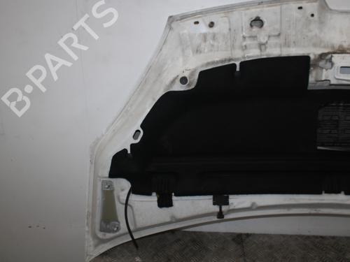 Hood RENAULT KANGOO Express (FW0/1_) 1.5 dCi 75 (FW07, FW10, FW04) | BP24666334C1 