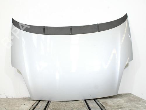 Hood FIAT PUNTO EVO (199_) 1.3 D Multijet (199AXD1B, 199AXD1A, 199BXD1B, 199BXD1A,... BP22304007C1