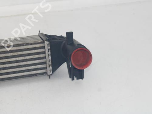 Intercooler VW POLO V (6R1, 6C1) 1.4 GTI | BP30273891M30