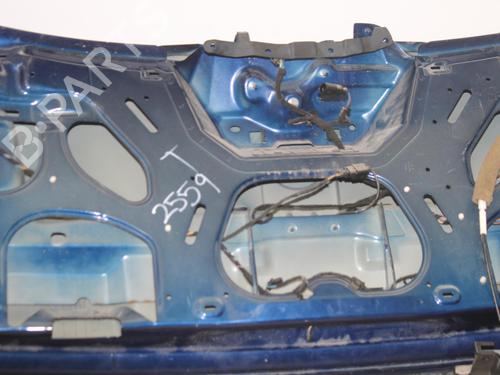 Tailgate VW TOUAREG (7LA, 7L6, 7L7) 3.0 V6 TDI | BP16039195C6 