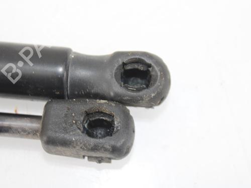 Hood lift support LAND ROVER RANGE ROVER EVOQUE (L538) 2.0 D | BP16103668C139 