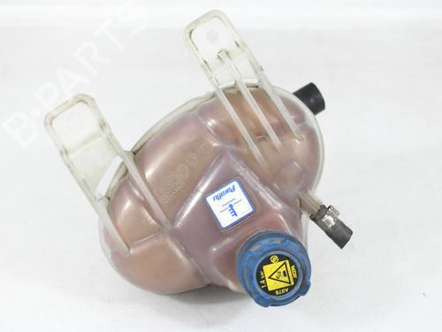 Used Expansion tank FIAT PUNTO (199_) 1.4 (199AXB1A, 199BXB1A, 199BXB11, 199AXB11) (78 hp) 29811446