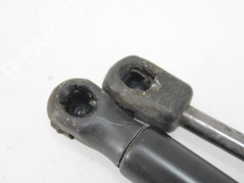 Hood lift support LAND ROVER RANGE ROVER EVOQUE (L538) 2.0 D | BP16103668C139 