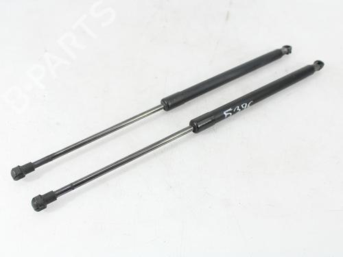Tailgate lift support AUDI A3 (8P1) 1.9 TDI | BP25443057C138 