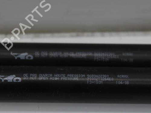 Tailgate lift support PEUGEOT 308 I (4A_, 4C_) 1.6 HDi | BP14174255C138 