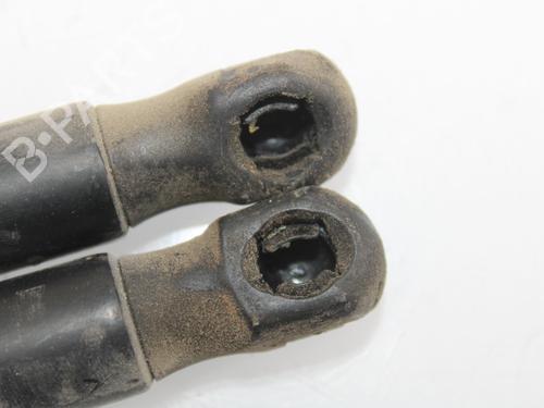 Hood lift support LAND ROVER FREELANDER 2 (L359) 2.2 TD4 4x4 | BP14176060C139 
