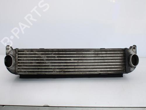 Used Intercooler LAND ROVER RANGE ROVER SPORT I (L320) 2.7 D 4x4 (190 hp) 10125754