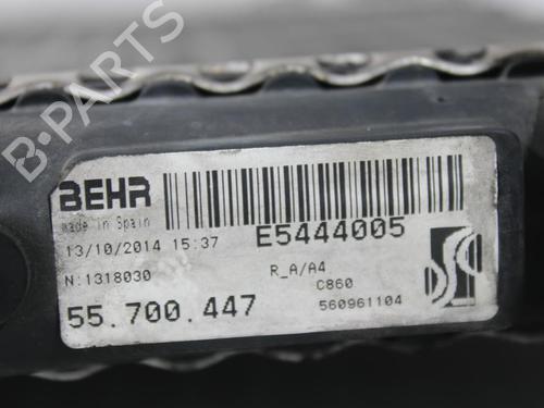 Water radiator FIAT PUNTO (199_) 1.4 (199AXB1A, 199BXB1A, 199BXB11, 199AXB11) | BP30194139M31 