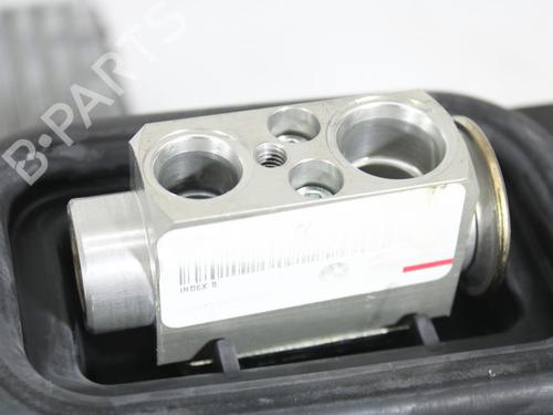 Air conditioning evaporator BMW X6 (F16, F86)  | BP17805975M109 