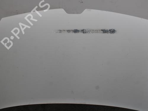 Hood RENAULT KANGOO Express (FW0/1_) 1.5 dCi 75 (FW07, FW10, FW04) | BP24666334C1 