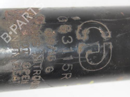 Left rear shock absorber BMW 1 Coupe (E82) 120 d | BP13581609M18 