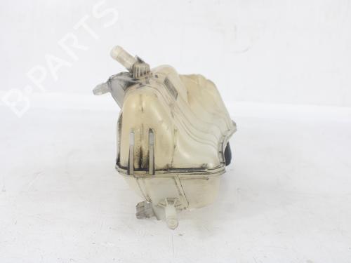 Expansion tank RENAULT KANGOO Express (FW0/1_) 1.5 dCi 75 (FW07, FW10, FW04) | BP24316171C120 