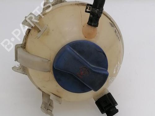 Used Expansion tank SEAT TOLEDO II (1M2) 1.9 TDI (110 hp) 10119958
