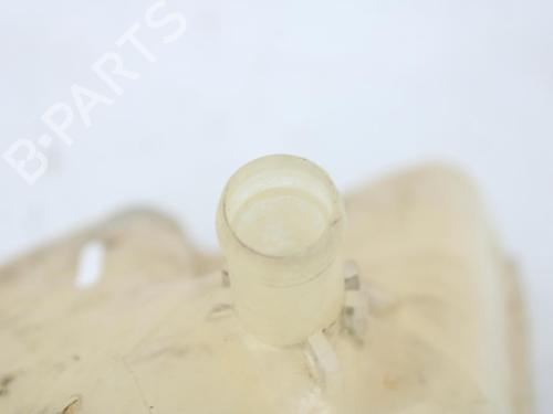 Expansion tank FORD FIESTA VI (CB1, CCN) 1.5 TDCi | BP22305476C120 