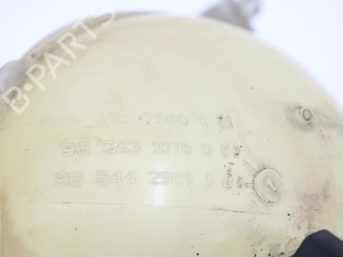 Expansion tank CITROËN C4 Picasso I MPV (UD_) 2.0 HDi 138 | BP13406877C120 
