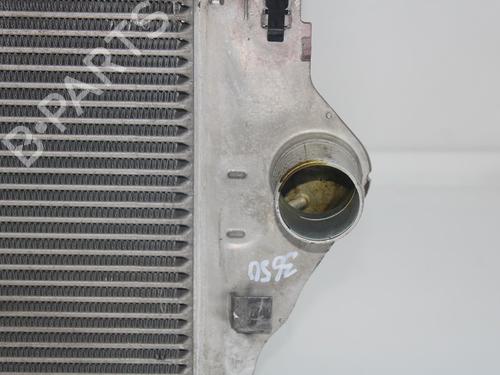 Intercooler RENAULT LAGUNA II (BG0/1_) 2.0 16V (BG03, BG0Z, BG0T, BG1Y) | BP10631142M30 