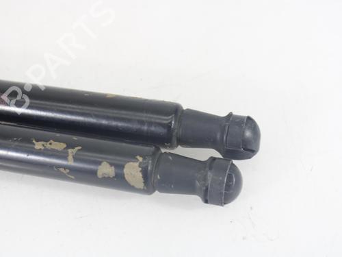 Tailgate lift support NISSAN QASHQAI / QASHQAI +2 I (J10, NJ10, JJ10E) 1.5 dCi | BP14174887C138 