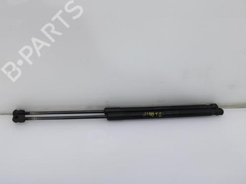 Used Tailgate lift support MERCEDES-BENZ A-CLASS (W169) A 160 CDI (169.006, 169.306) (82 hp) 14174302