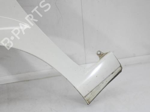 Left front fenders FIAT PUNTO (199_) 1.4 (199AXB1A, 199BXB1A, 199BXB11, 199AXB11) | BP30194142C41