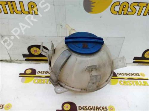 Used Expansion tank SEAT TOLEDO I (1L2) 1.9 D (68 hp) 10124079