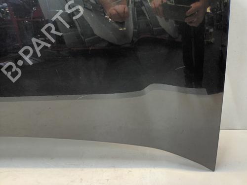 Hood FIAT DOBLO Cargo (263_) 1.3 D Multijet | BP29864267C1