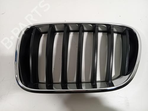 Used Grille BMW X3 (F25) xDrive 20 i (184 hp) 30804289