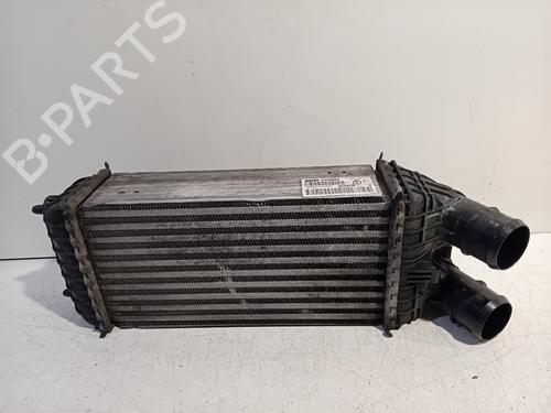 Used Intercooler CITROËN C4 CACTUS 1.6 BlueHDi 100 (99 hp) 20926464