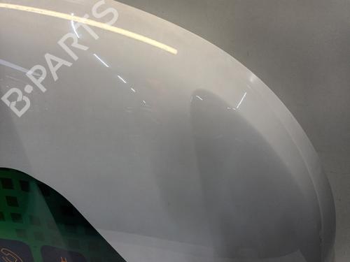 Hood RENAULT KANGOO III Box Body/MPV 1.5 Blue dCi 115 (FJAC) | BP29918529C1