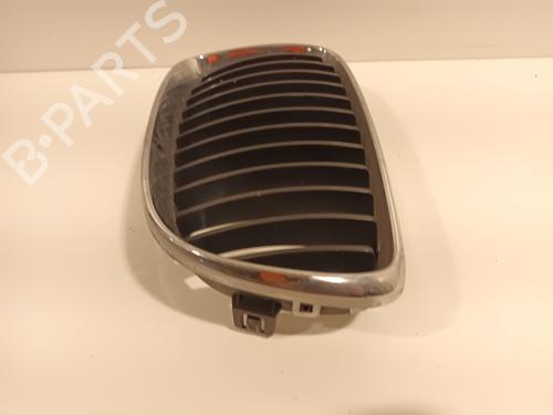 Grille BMW 1 (E81) 116 i | BP16446169C40 
